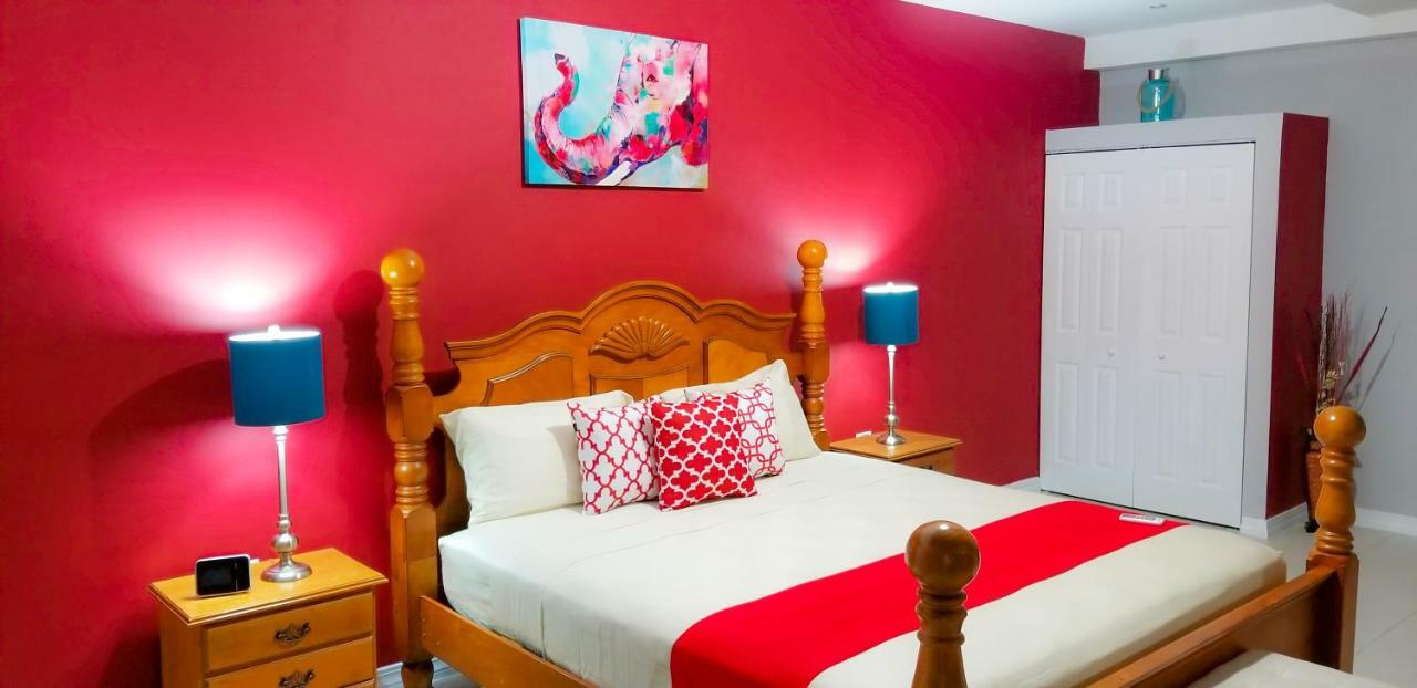 New Kingston Guest Apartments @ Donhead Eksteriør bilde