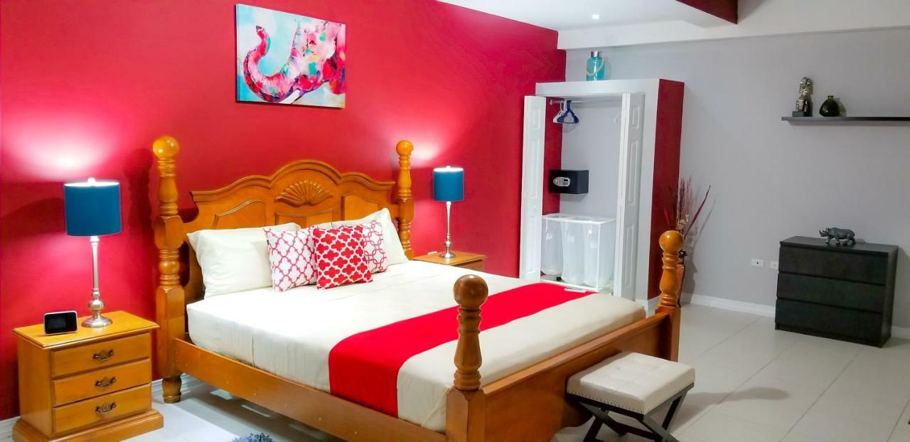 New Kingston Guest Apartments @ Donhead Eksteriør bilde