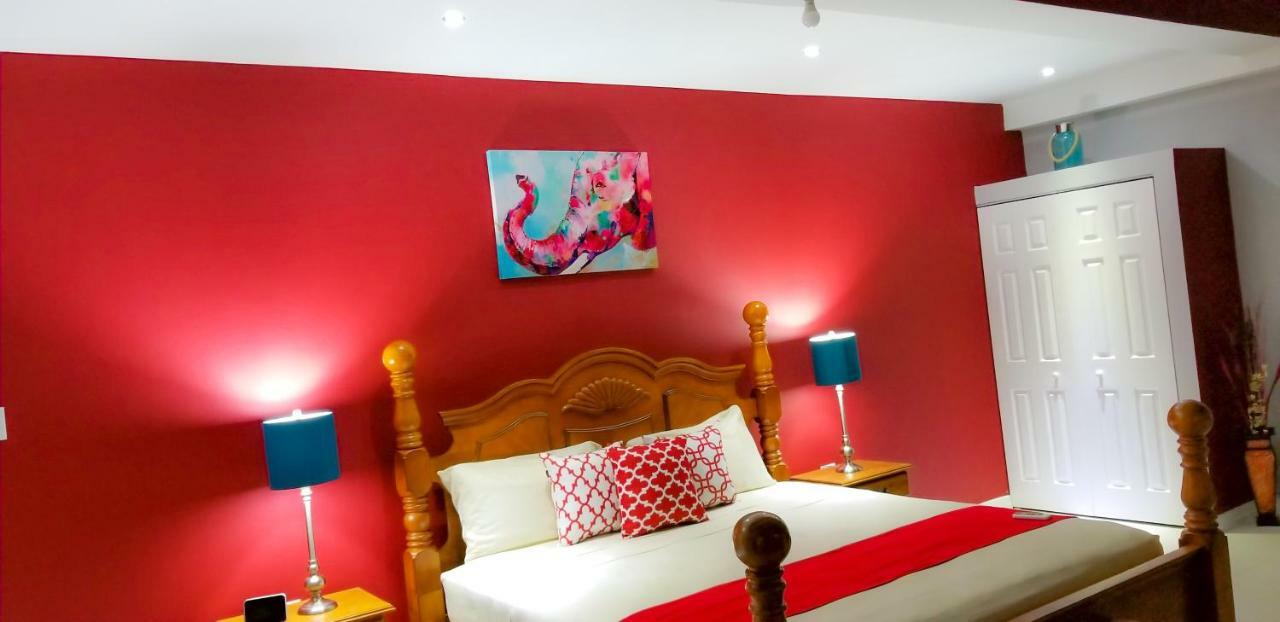 New Kingston Guest Apartments @ Donhead Eksteriør bilde